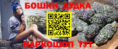 МДПВ Будённовск