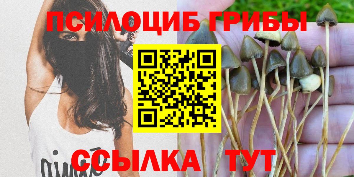 Галлюциногенные грибы GOLDEN TEACHER  Вход с VPN  Ликино-Дулёво 