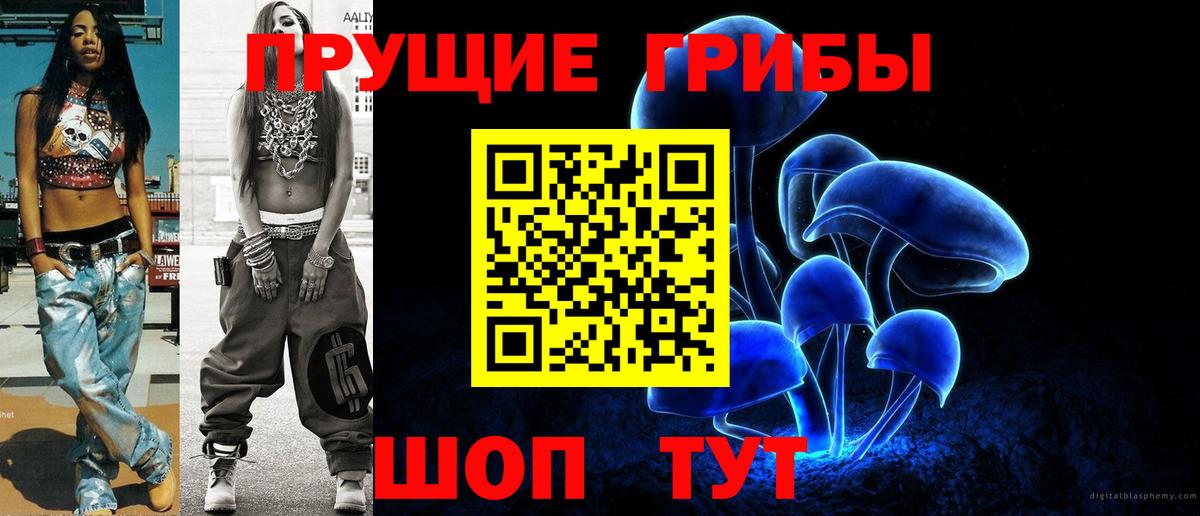 Галлюциногенные грибы Psilocybine cubensis Ликино-Дулёво